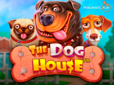 Lirik anlatım nedir. Dog house casino.74